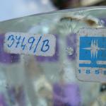 Michaela Baná - Tučňák Michaela Baná - Tučňák