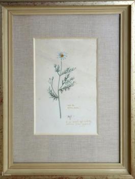 Vladimír Václav Paleček (nar.1922) - Rmen Rolní Vladimír Václav Paleček (nar.1922) - Rmen Rolní