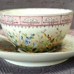 Šálek s podšálkem, zn. Pirkenhammer   Šálek s podšálkem, zn. Pirkenhammer