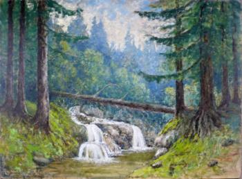 Václav Černý - Vodopád Václav Černý - Vodopád