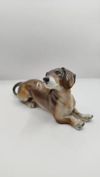 Jezevčík – Rosenthal Jezevčík – Rosenthal