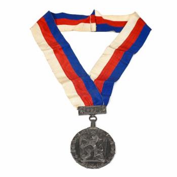 Stříbrná insignie Stříbrná insignie