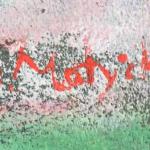 Motyčka Matěj : Kočky v kuchyni Motyčka Matěj : Kočky v kuchyni