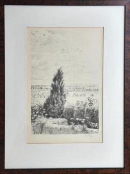 Max Švabinský (1873-1962) - Túje v Chodově Max Švabinský (1873-1962) - Túje v Chodově