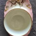 Šálek s podšálkem, zn. Březová ( Pirkenhammer ) Šálek s podšálkem, zn. Březová ( Pirkenhammer )