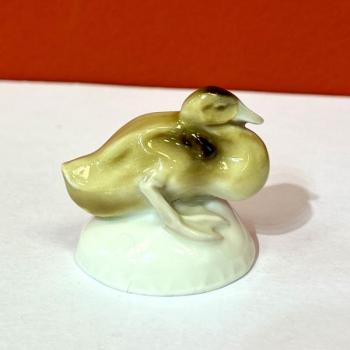 Míšeň, malá kachnička Míšeň, malá kachnička