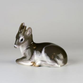 Voduška Antilopa Voduška Antilopa