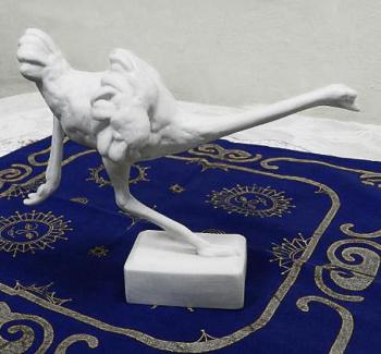 Schaubach Wallendorf: Pštros Schaubach Wallendorf: Pštros