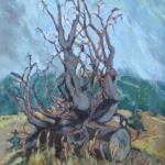 Václav Hejna, připsáno - Vyvrácený pařez Václav Hejna, připsáno - Vyvrácený pařez