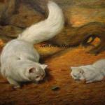 Hyský : Kočky hledící na brouka ( střevlíka ? ) Hyský : Kočky hledící na brouka ( střevlíka ? )