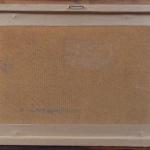 Šašková - Tři borovice na stráni Šašková - Tři borovice na stráni