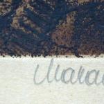 S.G.Maran - Pohled na střechy domů S.G.Maran - Pohled na střechy domů