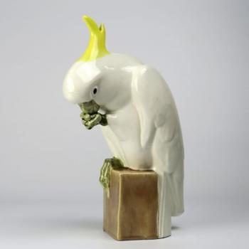 Papoušek kakadu Papoušek kakadu