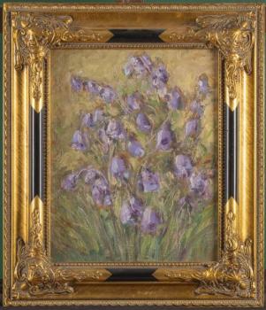 137. Rozkvetlé fialové zvonky 137. Rozkvetlé fialové zvonky