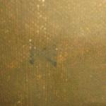 Portrét dívky v černém  Portrét dívky v černém