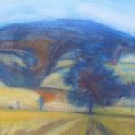 Boris Nosek - Pole, Volary Boris Nosek - Pole, Volary