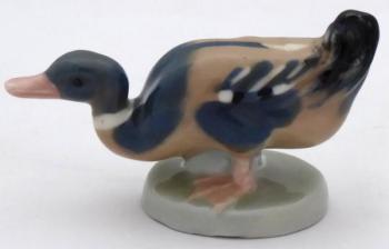 Kachnička - Dubí u Teplic Kachnička - Dubí u Teplic