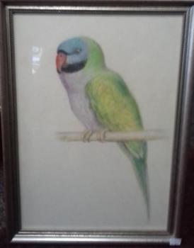 František Hofman (1891-1969): Papoušek II František Hofman (1891-1969): Papoušek II