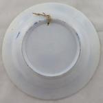 Talíř s kobaltovým cibulovým ornamentem Talíř s kobaltovým cibulovým ornamentem