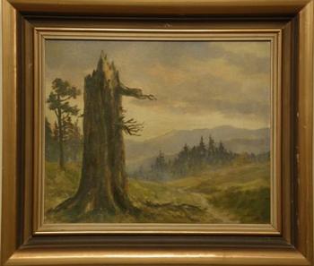 Starý strom Starý strom