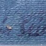 Jaromír Seidl - Orchideje Jaromír Seidl - Orchideje