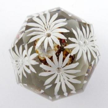 Malé těžítko se stylizovanými kopretinami Malé těžítko se stylizovanými kopretinami