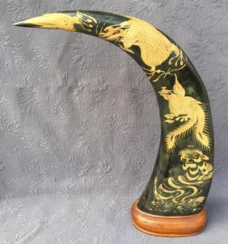 Roh buvola vodního II. Roh buvola vodního II.