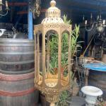 Lucerna zdobená Lucerna zdobená