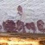 František Škrabánek - Tání František Škrabánek - Tání