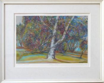 Boris Nosek - Volary, Bříza Boris Nosek - Volary, Bříza