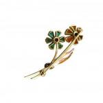 Zlatá brož – Květina Zlatá brož – Květina