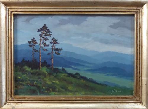 Šašková - Tři borovice na stráni Šašková - Tři borovice na stráni