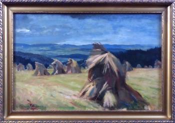 Čeněk Kvíčala - Snopy Čeněk Kvíčala - Snopy