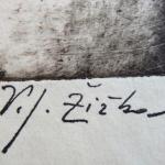 Jan Vratislav Zizka - Astrologie Jan Vratislav Zizka - Astrologie