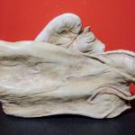 Amphora R.St.K., Eduard Stellmacher, ”Water Lily” Amphora R.St.K., Eduard Stellmacher, ”Water Lily”