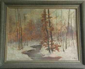 Potok v zimě - Mareš Potok v zimě - Mareš