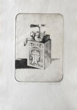 Václav Houf - Krabička, vrtule, letec Václav Houf - Krabička, vrtule, letec