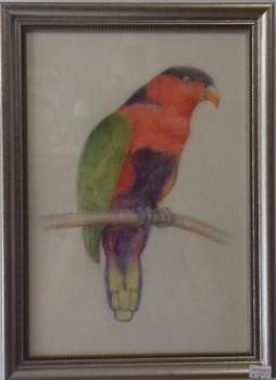 František Hofman (1891-1969): Papoušek III František Hofman (1891-1969): Papoušek III