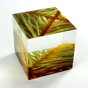 217. Tomáš Hlavička (1950) 217. Tomáš Hlavička (1950)