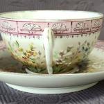 Šálek s podšálkem, zn. Pirkenhammer   Šálek s podšálkem, zn. Pirkenhammer