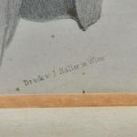 Grafika gentlemana z 19. století Wien Grafika gentlemana z 19. století Wien