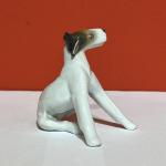 Rosenthal, foxteriér, pes Dášenka Rosenthal, foxteriér, pes Dášenka