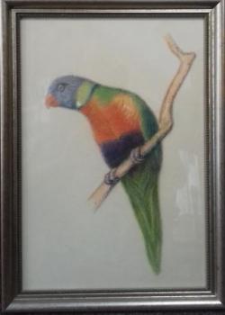 František Hofman (1891-1969): Papoušek I František Hofman (1891-1969): Papoušek I