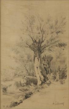 Anonym: Vrba Anonym: Vrba