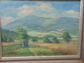 Obraz olej Drha Beskydy  Obraz olej Drha Beskydy