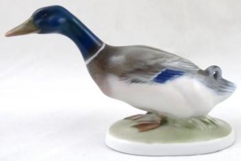 Kačer - Karl Himmelstoss, Rosenthal Kačer - Karl Himmelstoss, Rosenthal