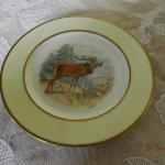 Talíř s jelenem Talíř s jelenem