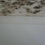 Žižka Vratislav Jan : Židovský hřbitov v Praze č.3 Žižka Vratislav Jan : Židovský hřbitov v Praze č.3