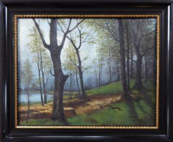 Jeřábek - V listnatém lese u jezírka Jeřábek - V listnatém lese u jezírka