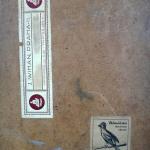 Albín Novotný - Potok při západu slunce Albín Novotný - Potok při západu slunce